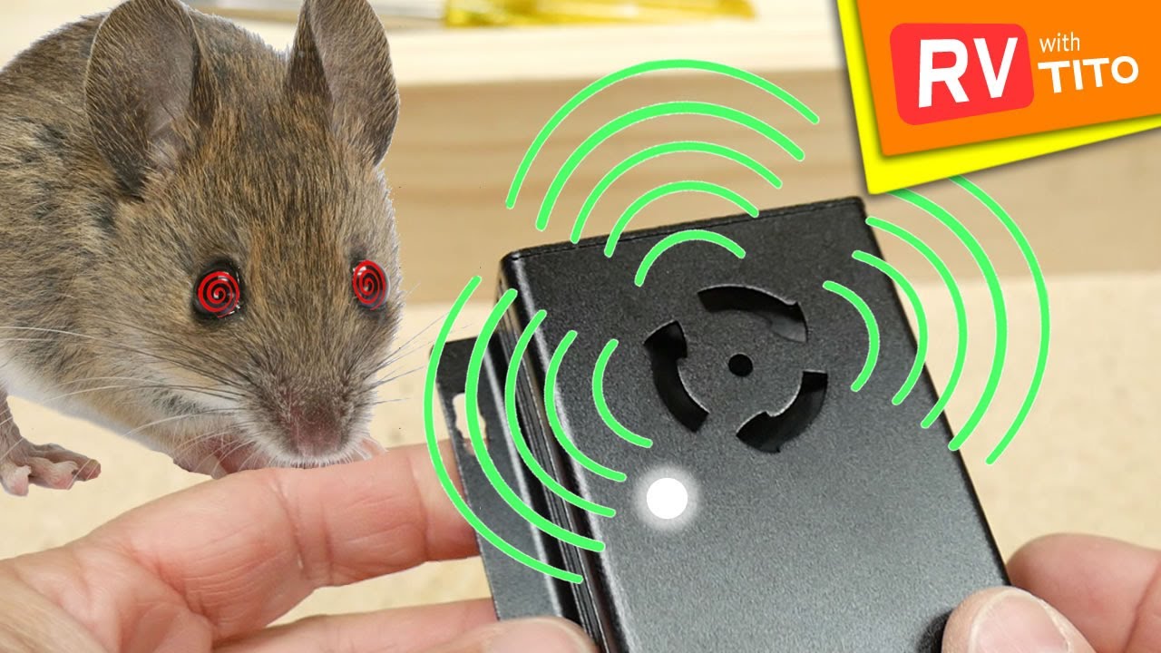 Stop RATS From Eating My Engine - Ultrasonic Rat Repellent Install