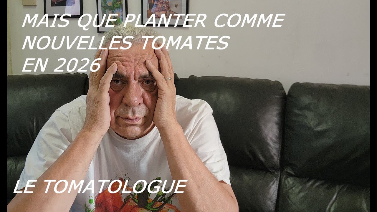 mais quelle nouveautés de tomates planter