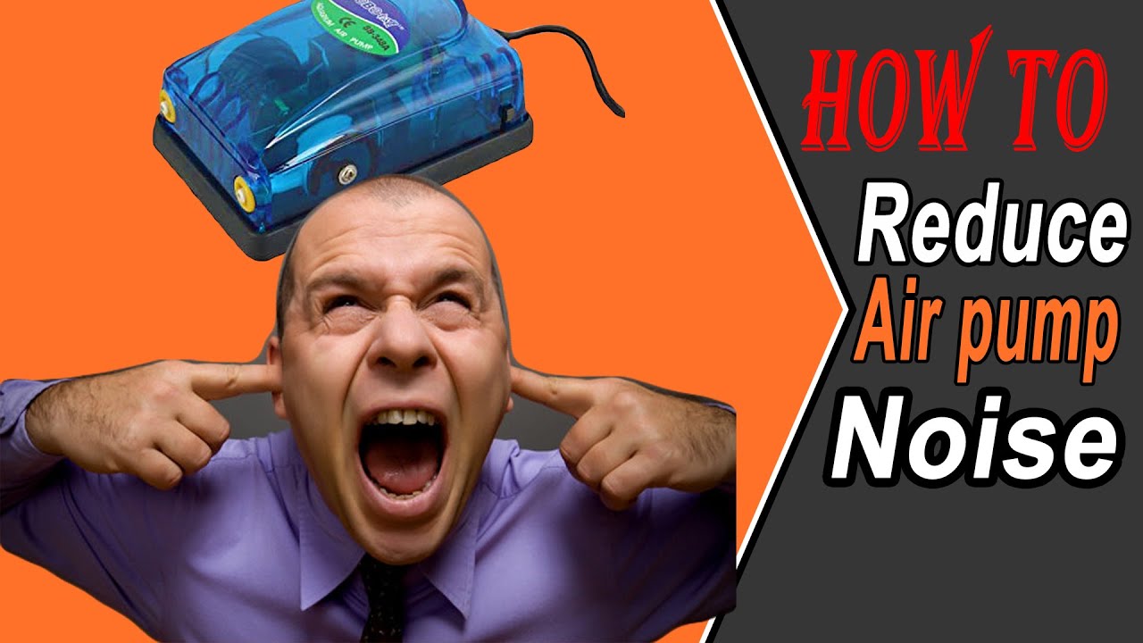 How to make aquarium air pump silent | reducing air pump noise | DIYer Bunty