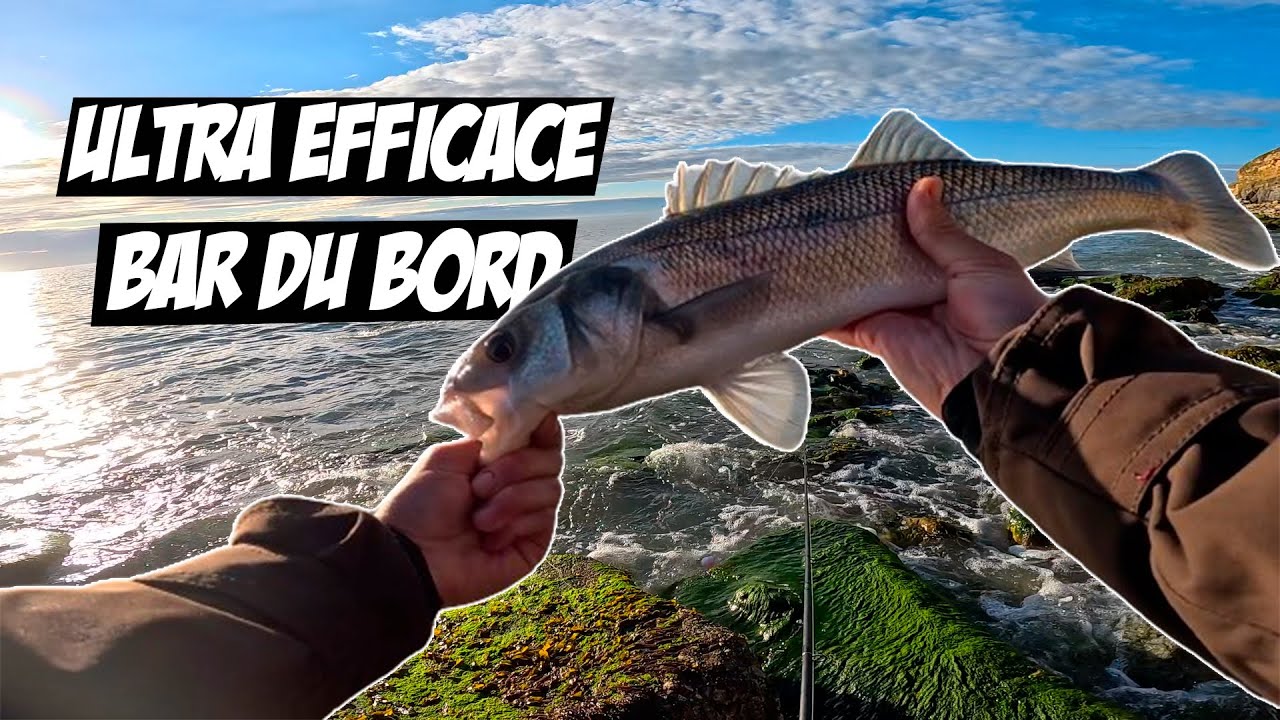 IMPOSSIBLE DE FAIRE CAPOT AVEC CETTE TECHNIQUE !!! PÊCHE DU BAR