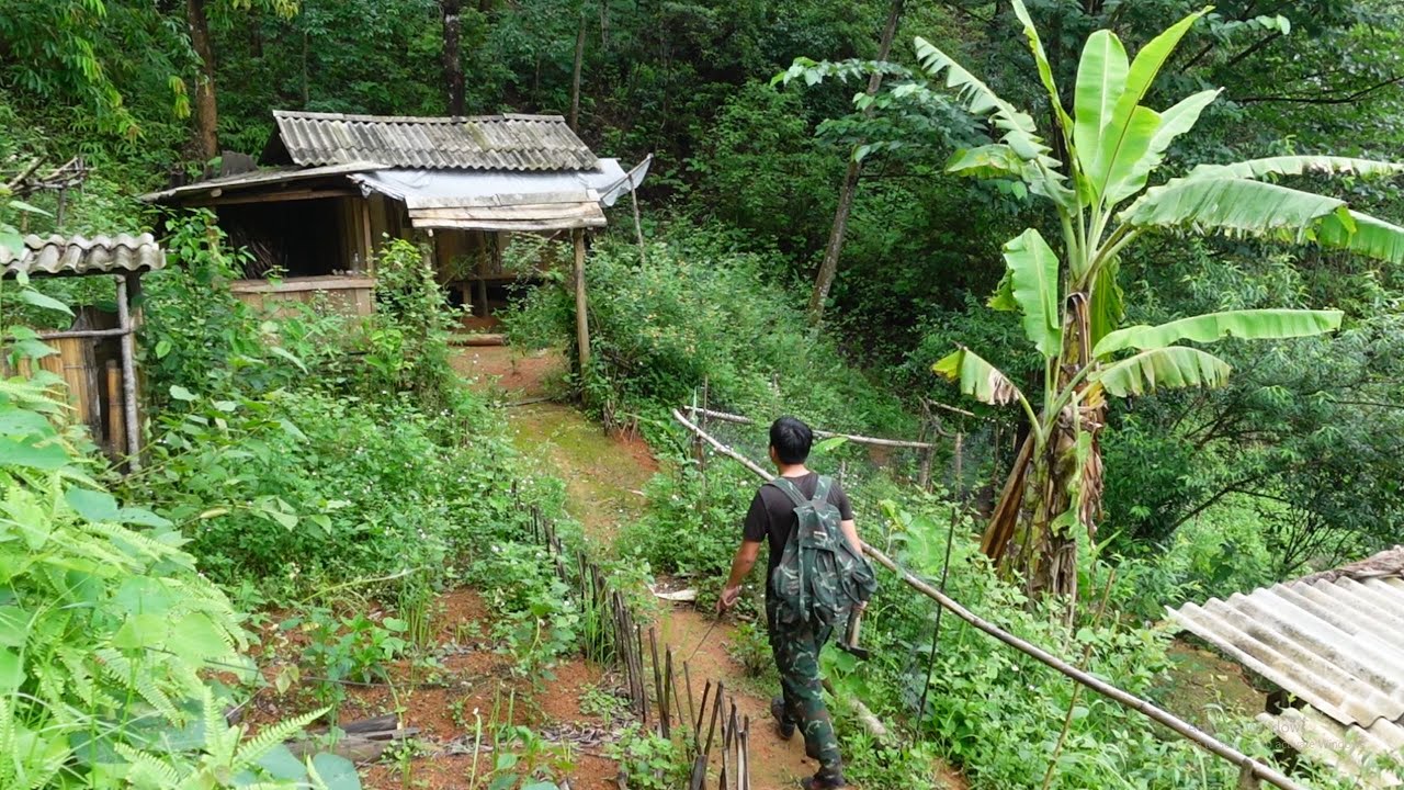 CEO leaves city to build a life in the forest