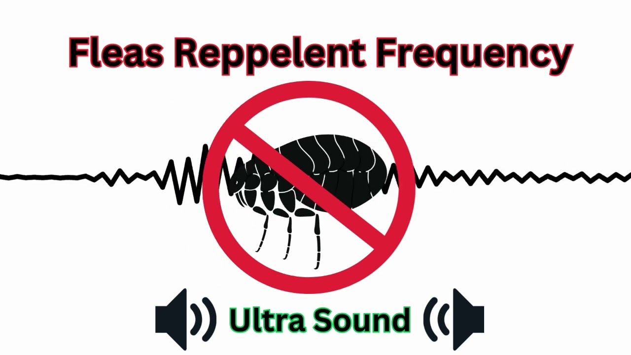 Fleas Repellent Sounds Frequency | Anti fleas tone | Ultra sonic