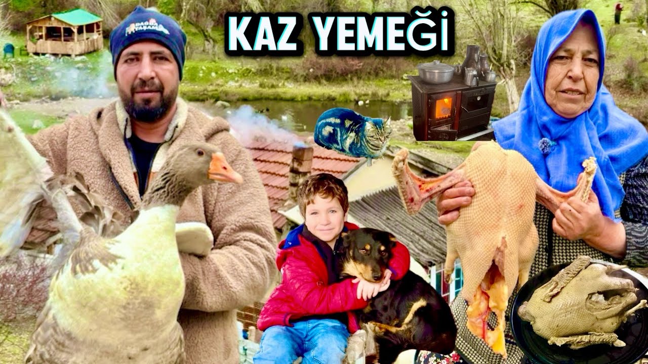 EN LEZZETLİ YEMEK KAZ YEMEĞİ / DAĞ EVİNDE YAŞAYAN AİLE KAZ YEMEĞİ YAPIYOR / belgesel