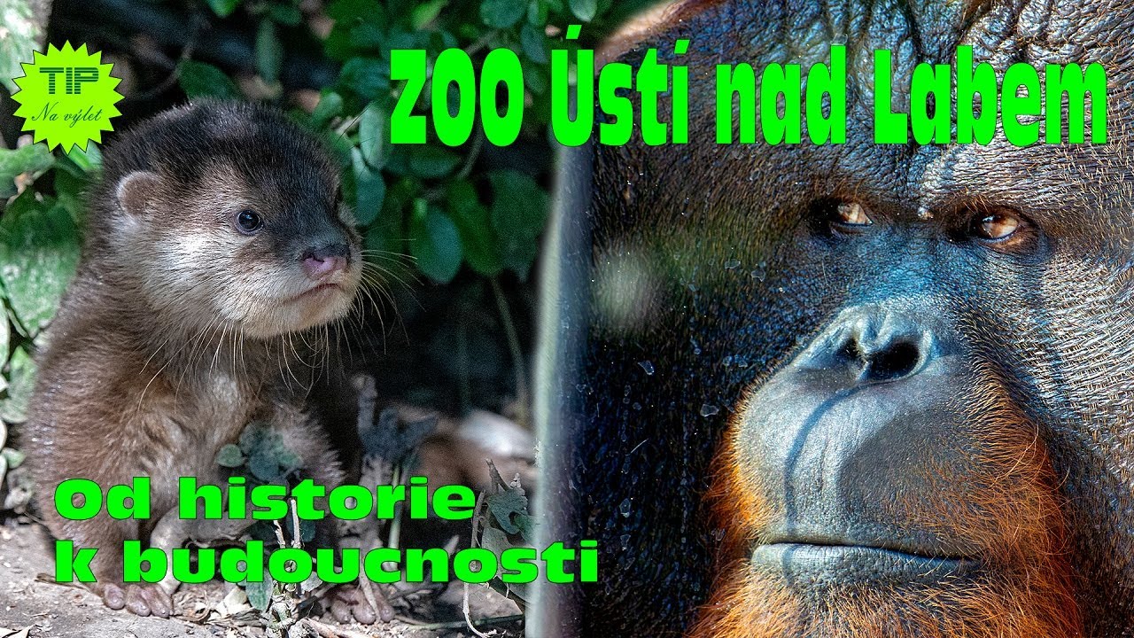 ZOO Ústí nad Labem - Od historie k budoucnosti