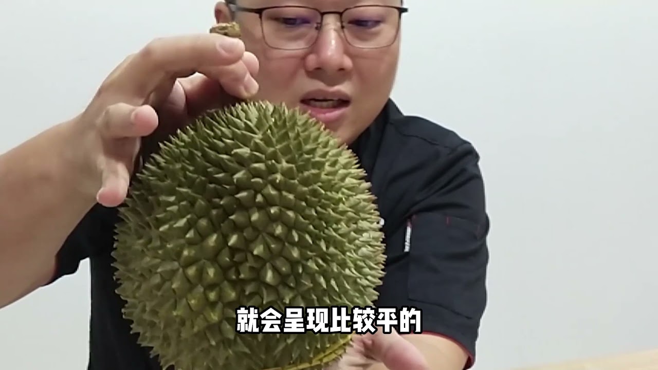 教你如何分辨黑刺榴莲 | Black Thorn Durian