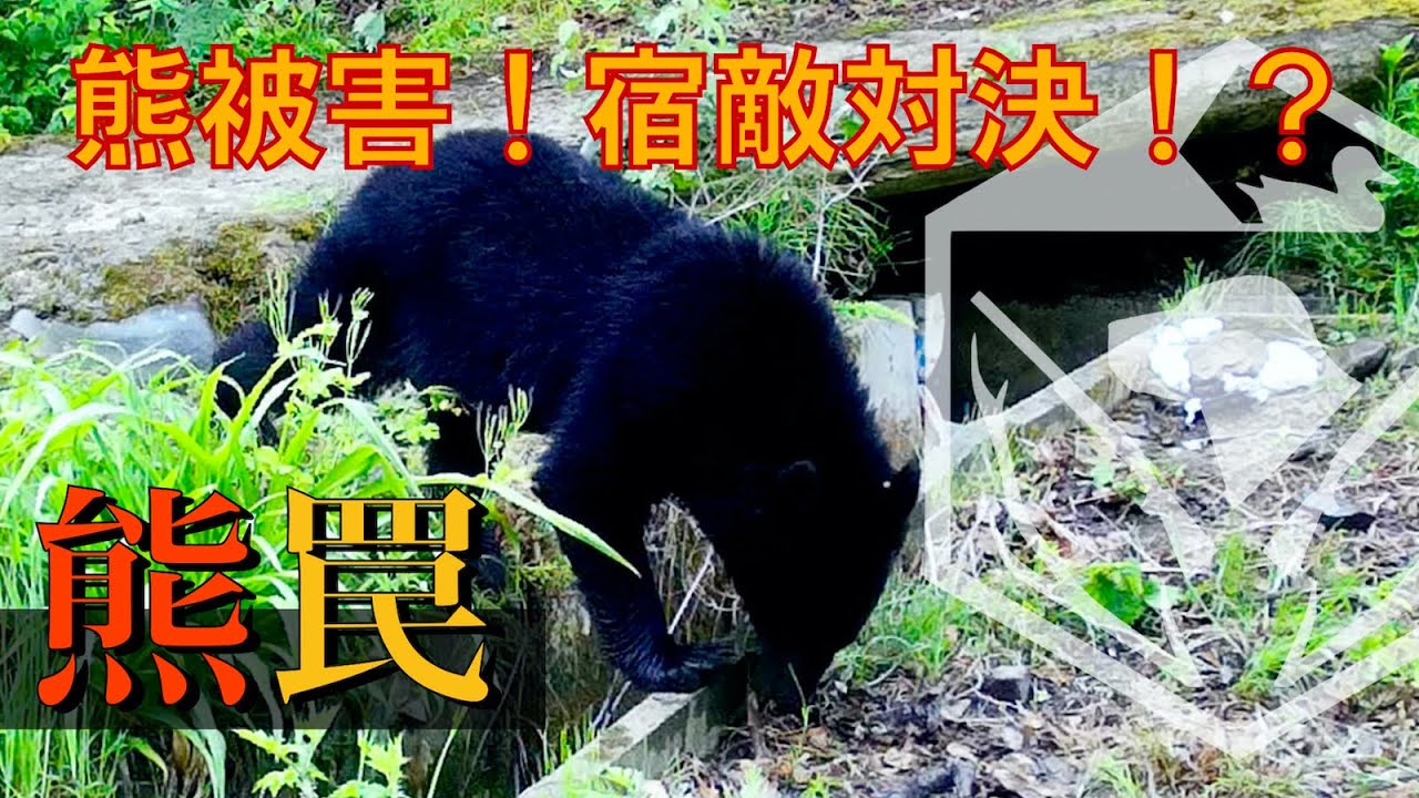 【熊罠】熊被害！宿敵ツキノワグマとの対決！？