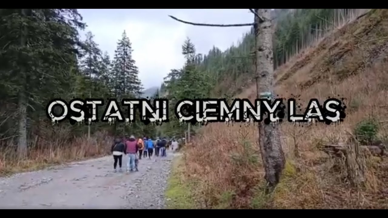 OSTATNI CIEMNY LAS  - Mag Schoon Band