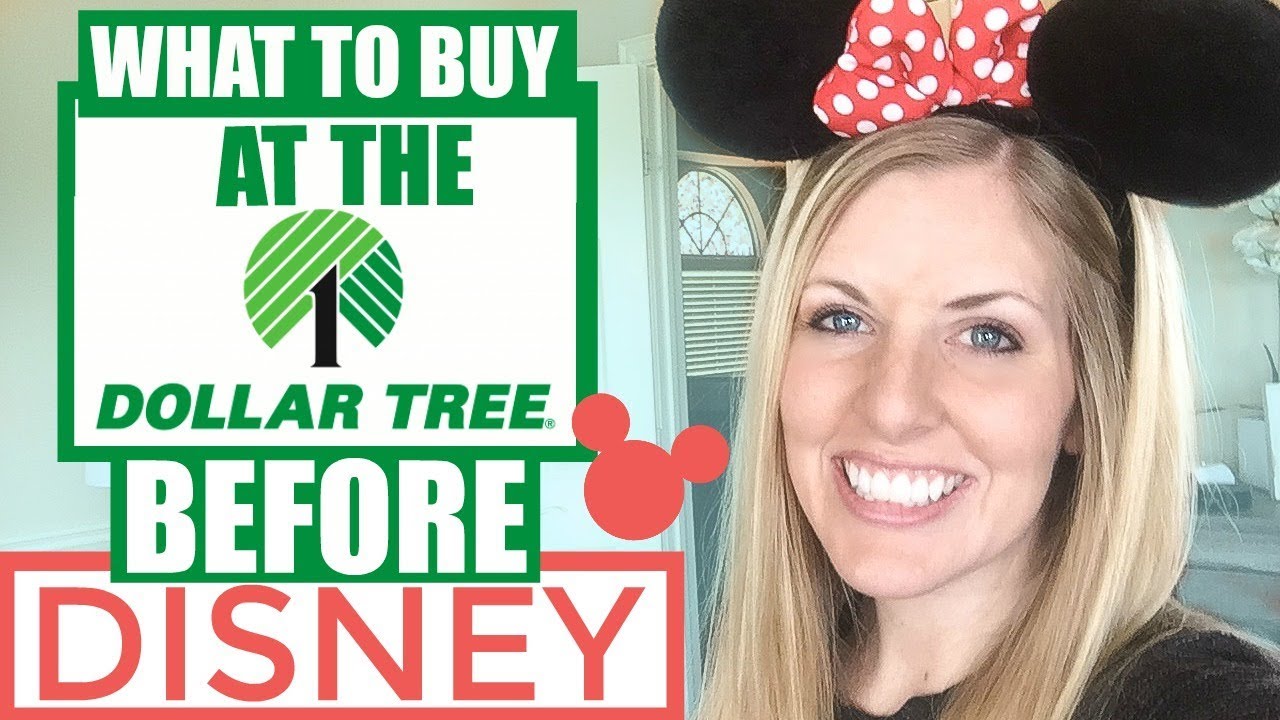 9 Things to Buy at the Dollar Tree BEFORE Going to Disney!