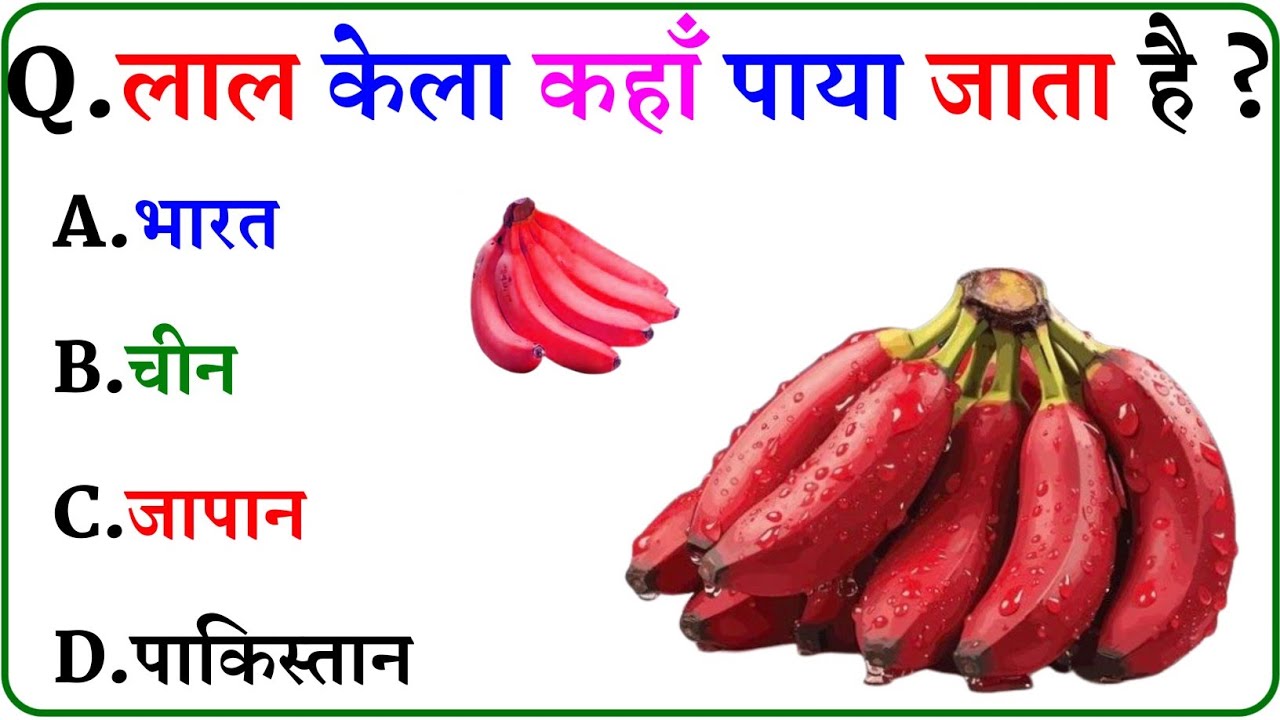 GK Question || GK In Hindi || GK Question and Answer || GK Quiz ||