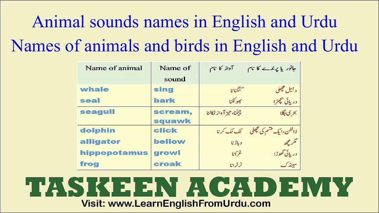 Animal sound names in English and Urdu | Animal sounds vocabulary | Names of animals and birds