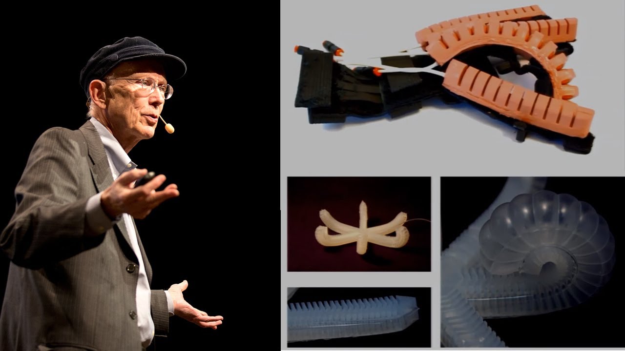 George Whitesides: Soft Robots