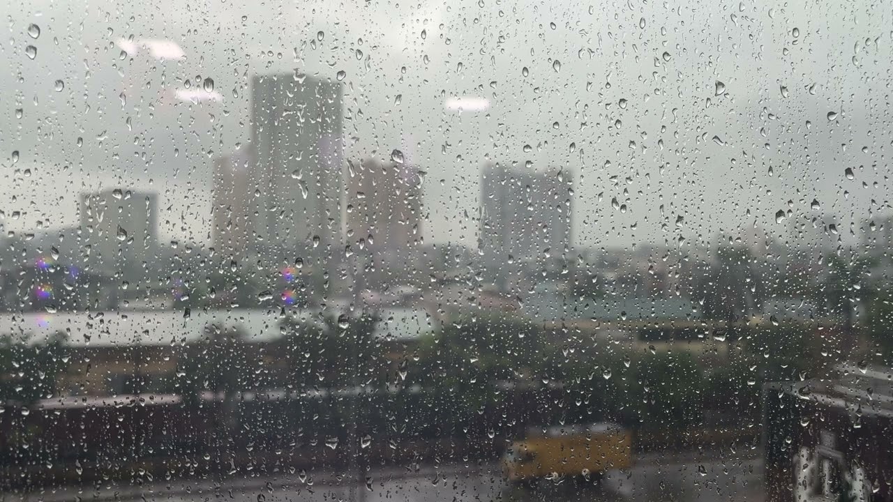 A Quiet Rainy Afternoon ☕ Window Views & Soft Reflections