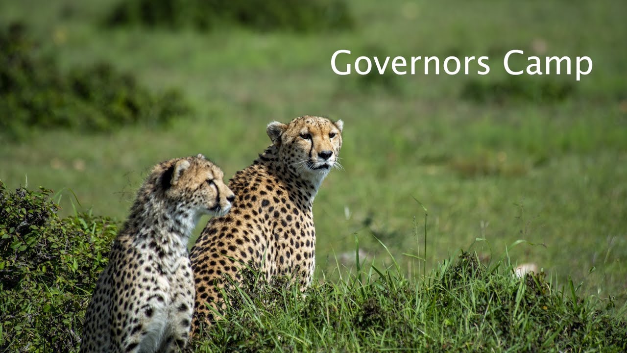 Kenyan Adventure Ep36 - Governors Camp Masai Mara