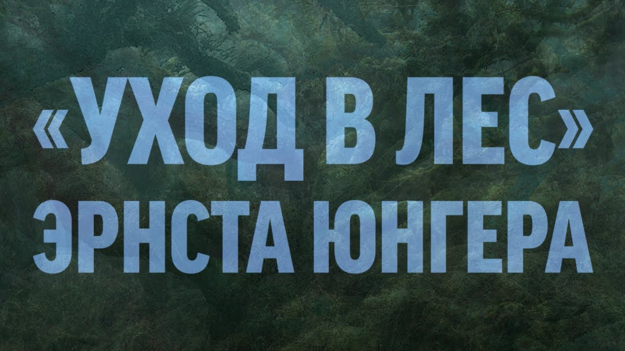 Александр Михайловский. «Уход в Лес» Эрнста Юнгера. О возможности свободы в эпоху постгуманизма.