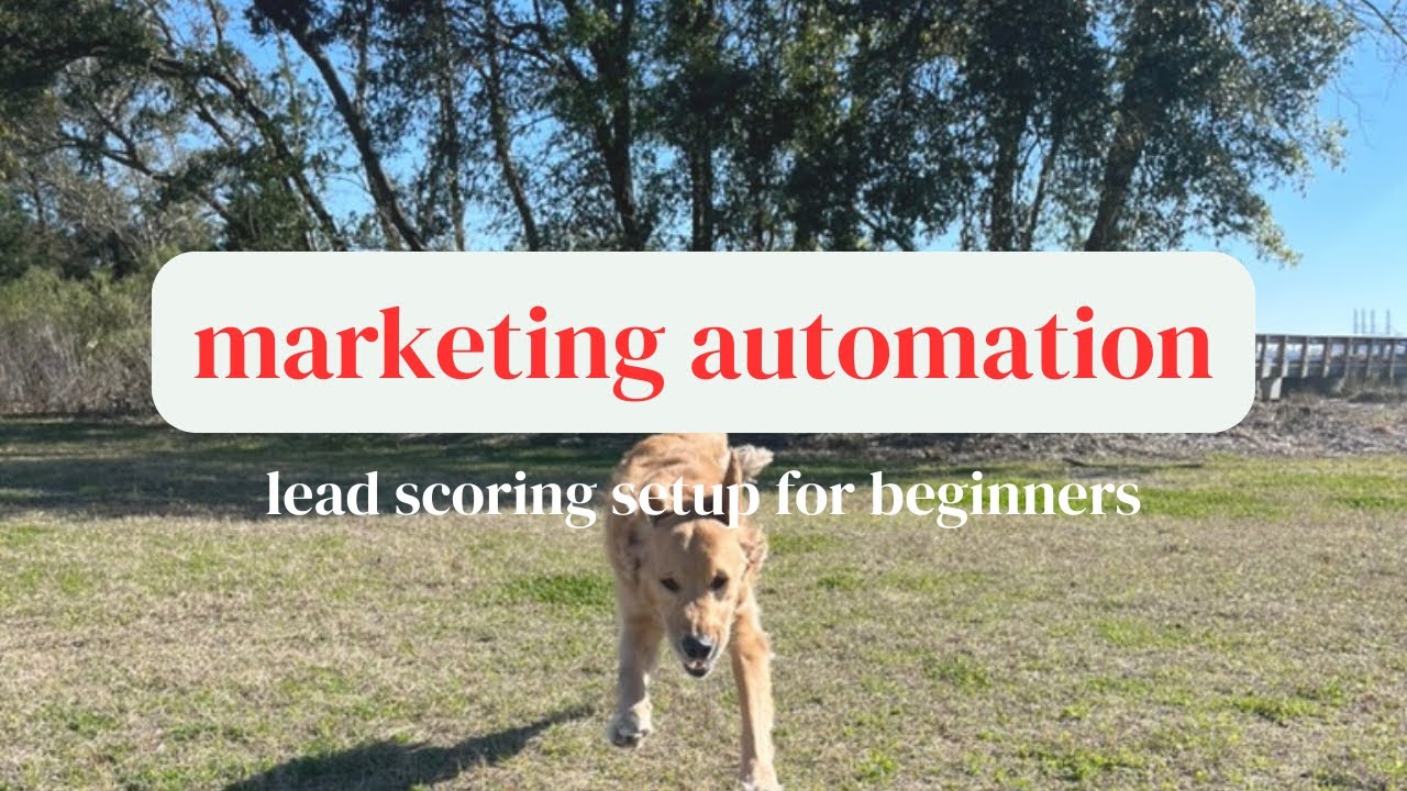 How to Build an Automated Lead Scoring System For Small Businesses | The 128 Collective | Marketing