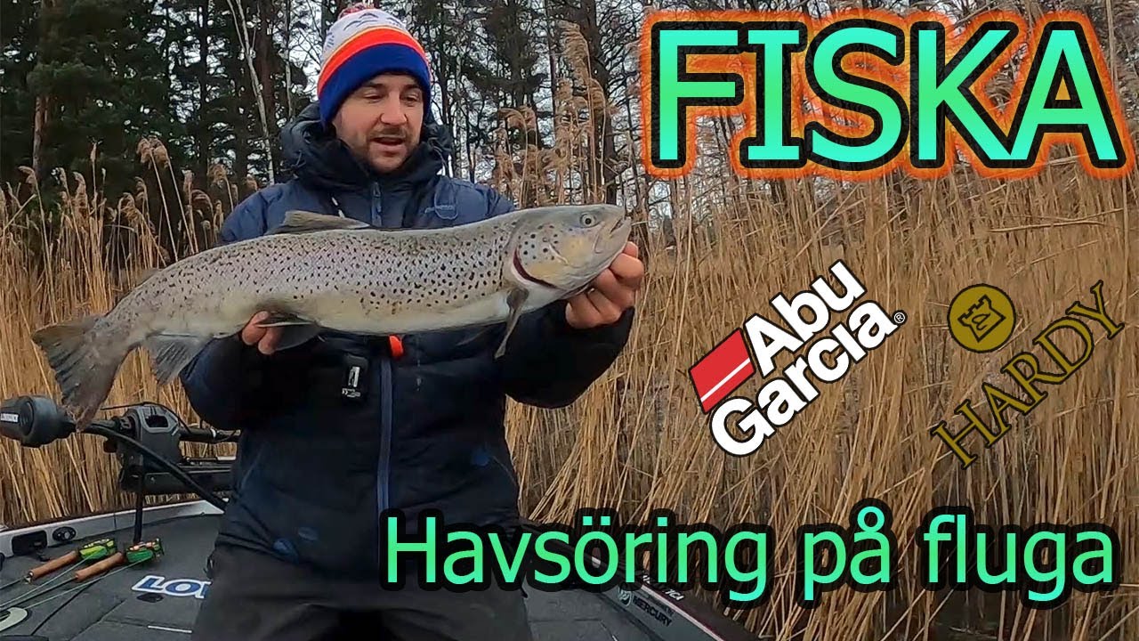 FISKA - Kustöring på fluga (del 1)