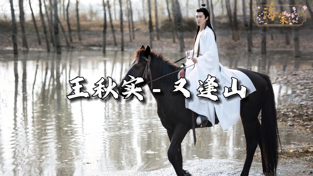 王秋实   又逢山『虽是人间客 由不得喜乐，空杯咽下这一瓢月色。』【动态歌词MV】