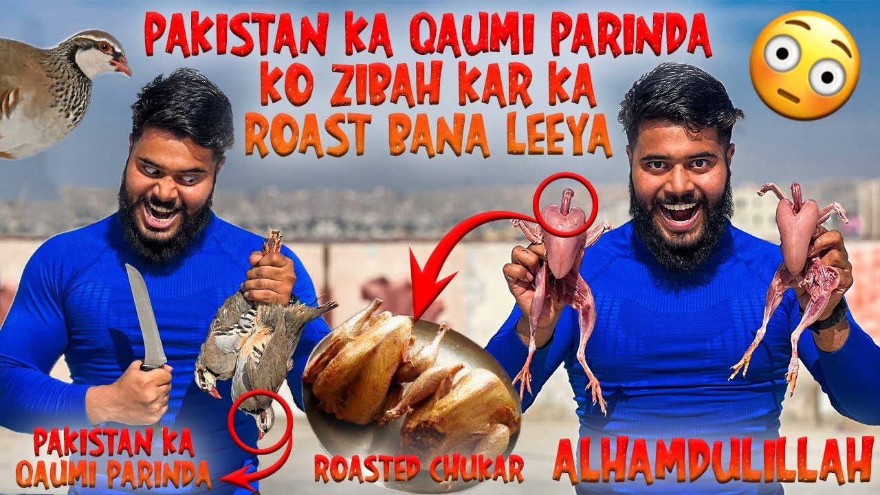 PAKISTAN KA QAUMI PARINDA (CHUKAR) KO ZIBAH KAR KA ROAST BANA LEEYA 😳| SYED FAHAD | THE FUN FIN |