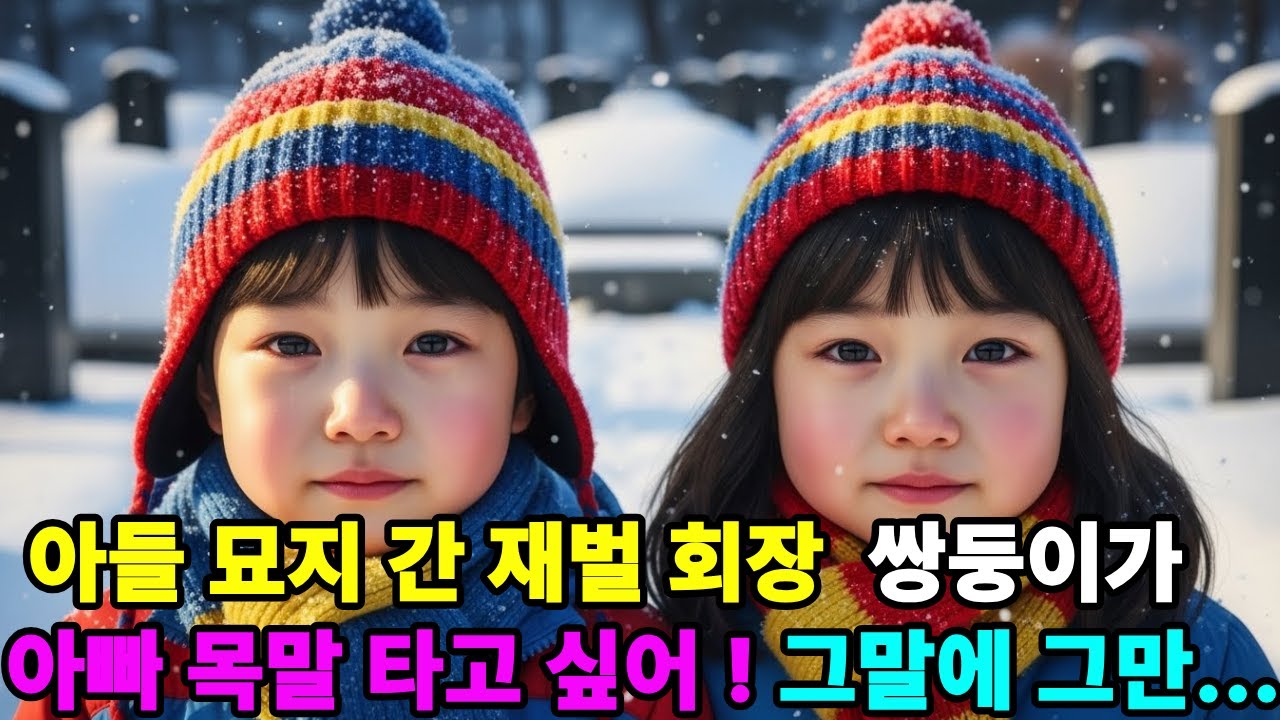 아들 묘지에서 마주친 쌍둥이 아빠 목말 타고 싶어  그 말에 재벌회장은 고개를 들지 못했다#반전사연 #인생사연 #감동사연 #사연살롱 #사연열차#사연채널#사연튜 #오디오북