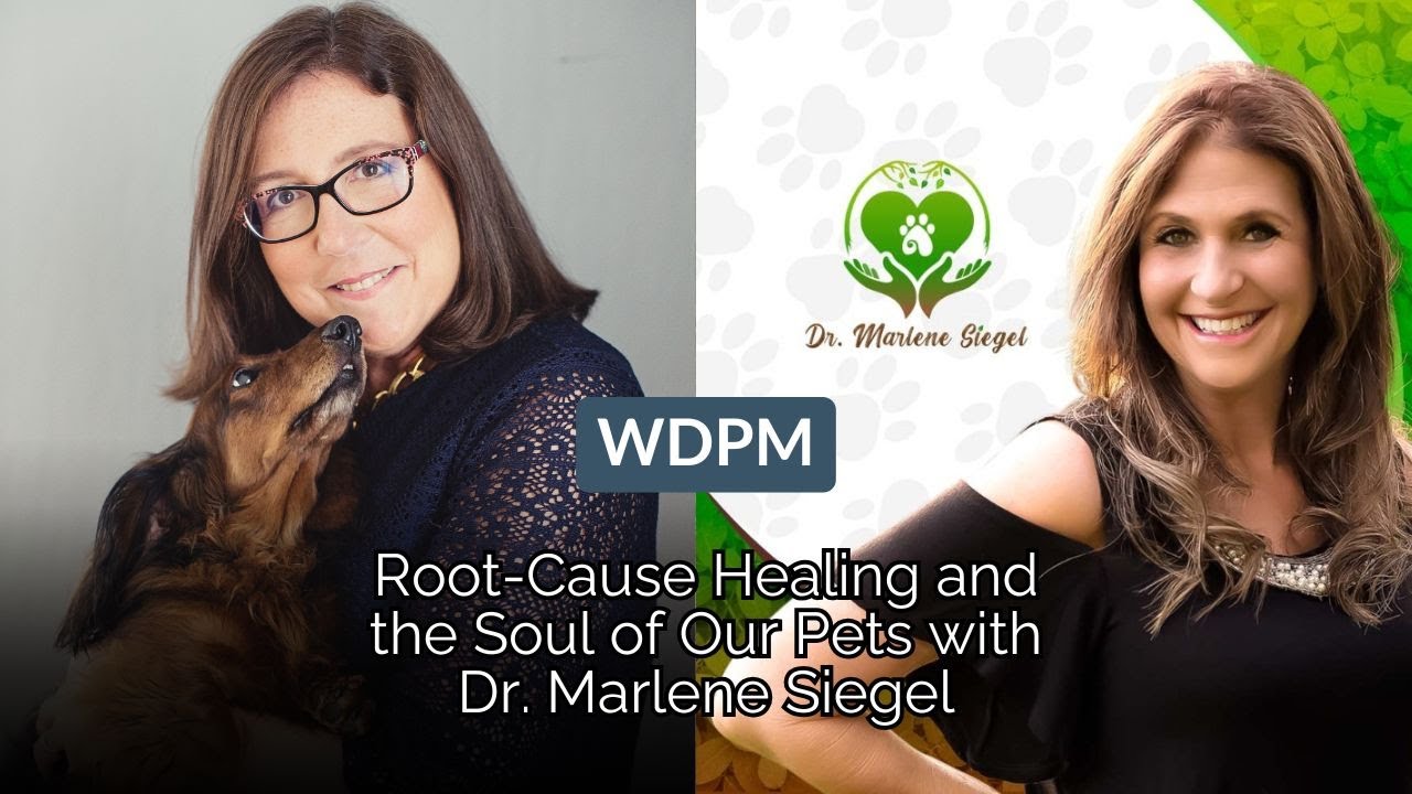 Root-Cause Healing and the Soul of Our Pets with Dr. Marlene Siegel