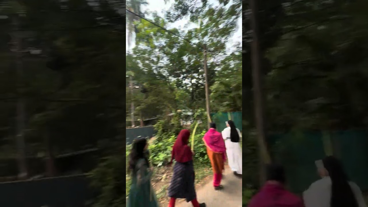 കൊച്ചു ഗ്രാമത്തിലെ ഓശാന ഞായർ 🤩 #viral #minivlog #vlog#trending#palmsunday#kerala#travel#new