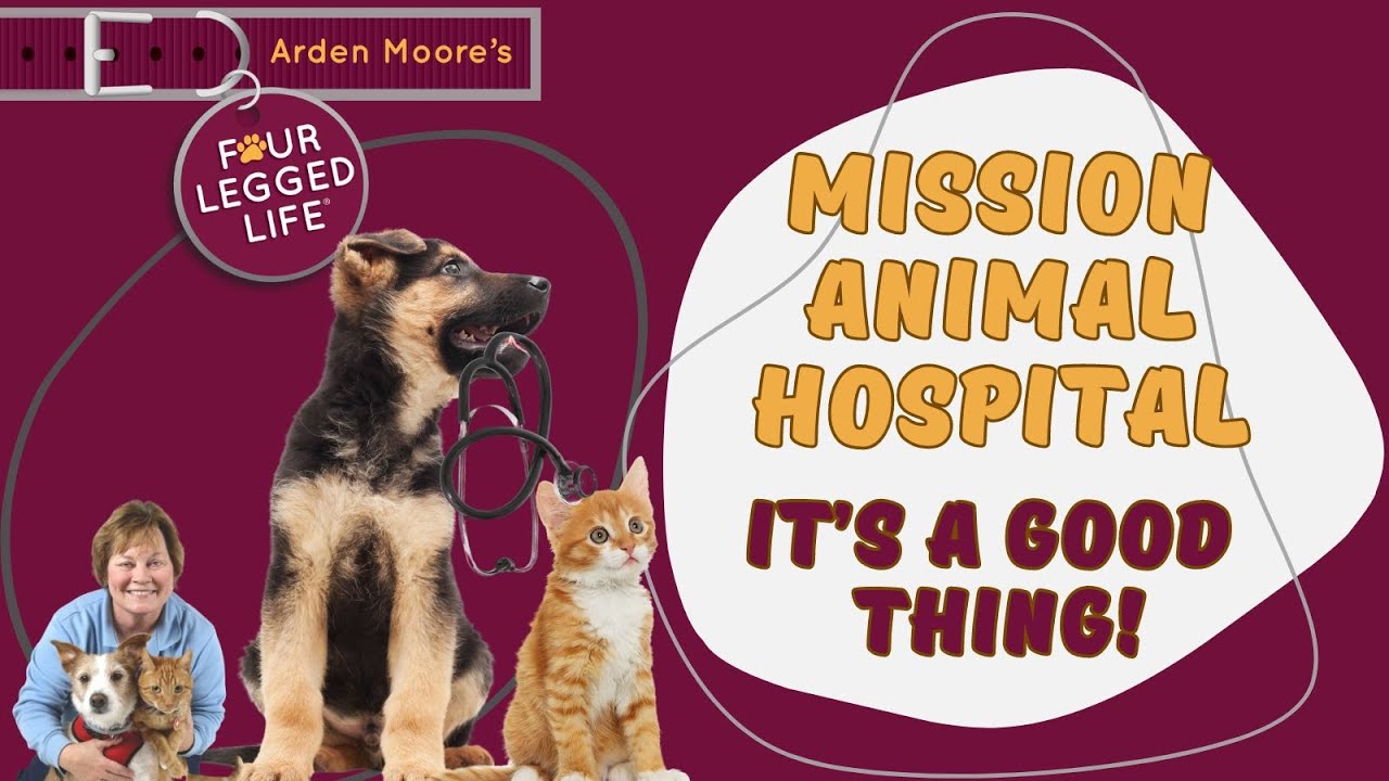 The Story of Mission Animal Hospital  #pethealth #nonprofit #veterinary