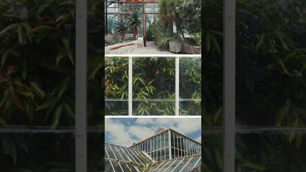 Photographic a Botanical Garden | Fujifilm X10 | Photowalk | Nature | Cambridge | Travel | Subscribe