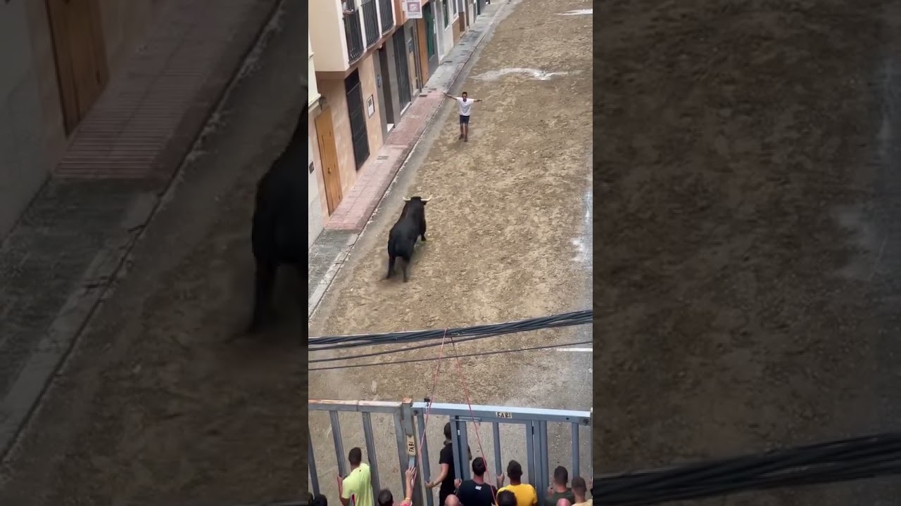 NO ROOM TO ESCAPE! Perfect Street Bull Recorte 