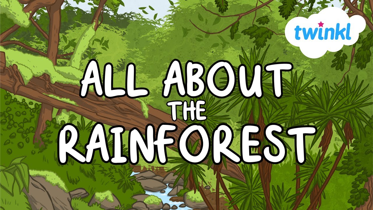 Rainforest Fun Facts for Kids | World Rainforest Day | Twinkl USA