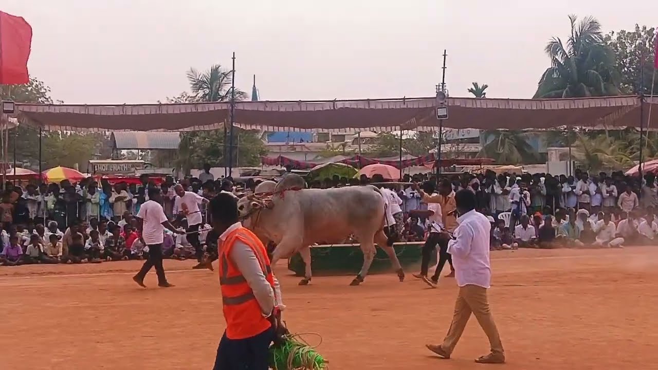 కాశనేనీరాజా చౌదరి ఉత్తనూర్ సీనియర్ విభాగంలో రెండో బహుమతి సాధించారు