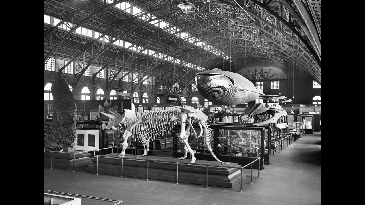 The Worlds Fair & Expositions, exploring the lost Empire of Tartaria and of Nikola Tesla.