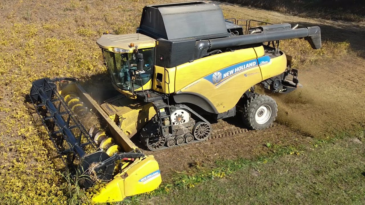 SOY HARVEST / TREBBIATURA SOIA 2021 | NEW HOLLAND CR8080