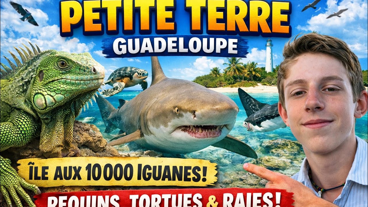 À la découverte de PETITE - TERRE en Guadeloupe