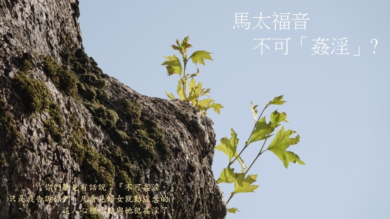 靈修:馬太福音-不可「姦淫」? 20260314