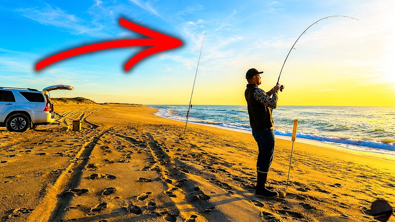 Surf Fishing IS ON FIRE - NC Surf Fishing