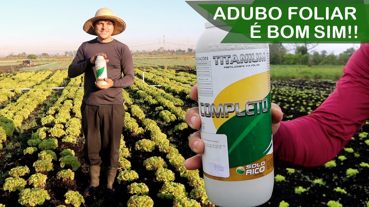 ADUBO VIA FOLIAR É BOM SIM!! | ADUBANDO A HORTA COM FERTILIZANTE VIA FOLIAR
