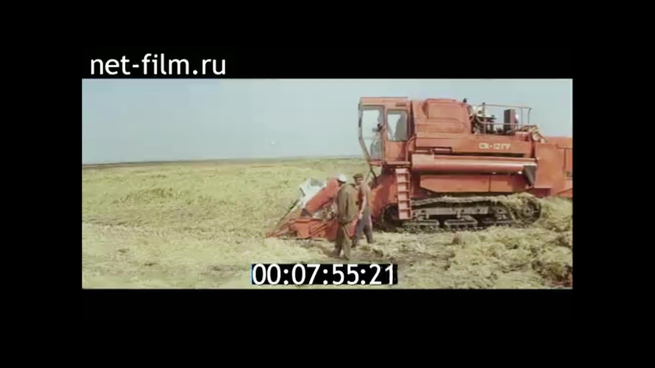 1980г. рисоводство. Краснодарский край.