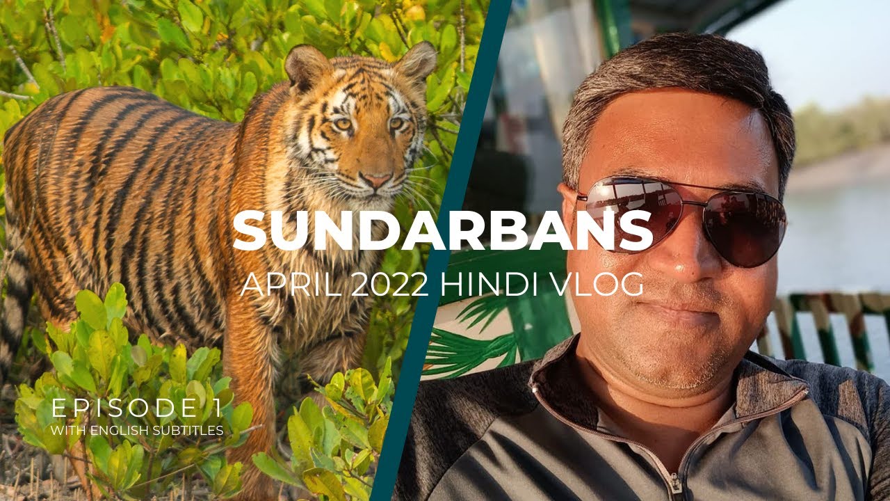 Tiger Tracking in Sundarban Summer 2022 | Sundarban Tour 2022 | Sundarban Boat Safari Hindi Vlog 1