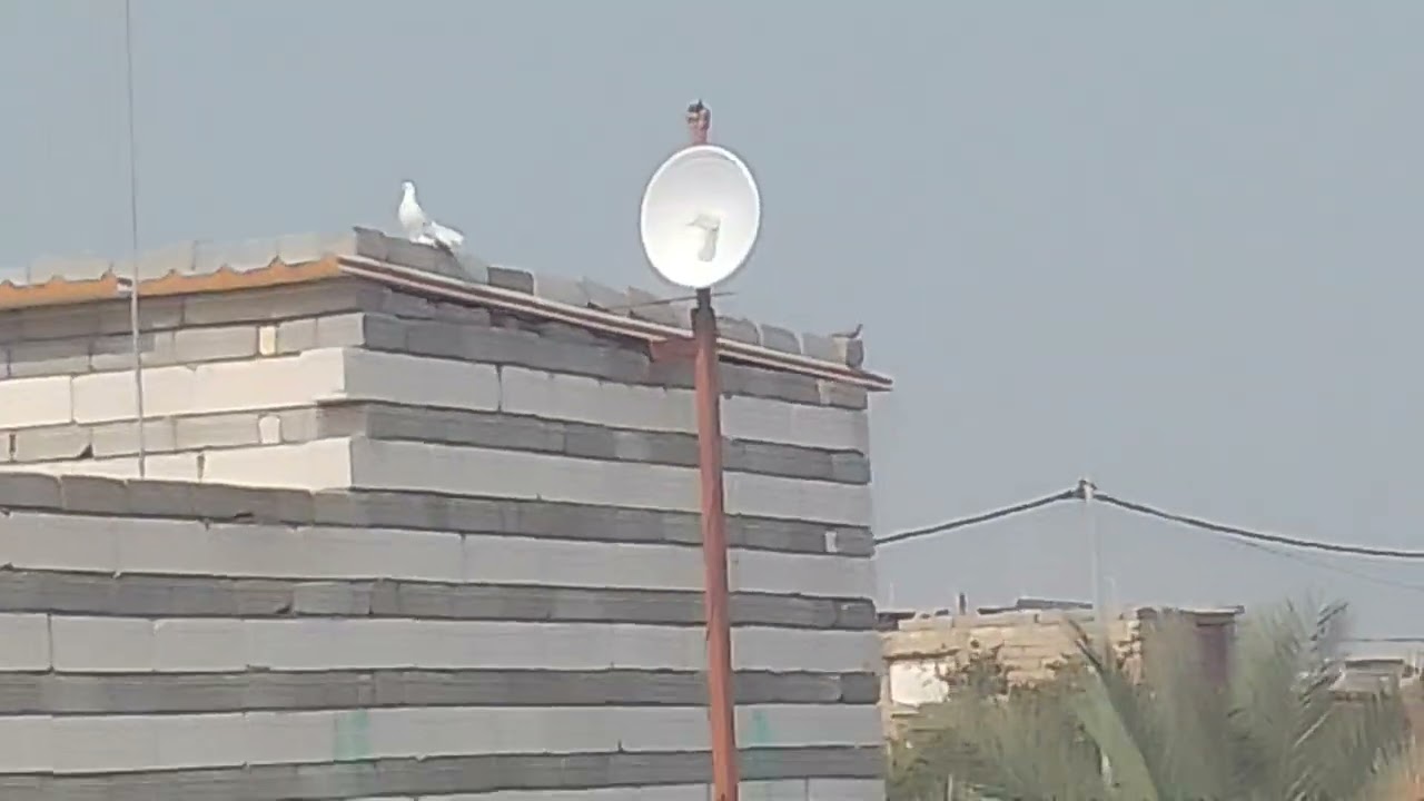 ١٣ فبراير ٢٠٢٦