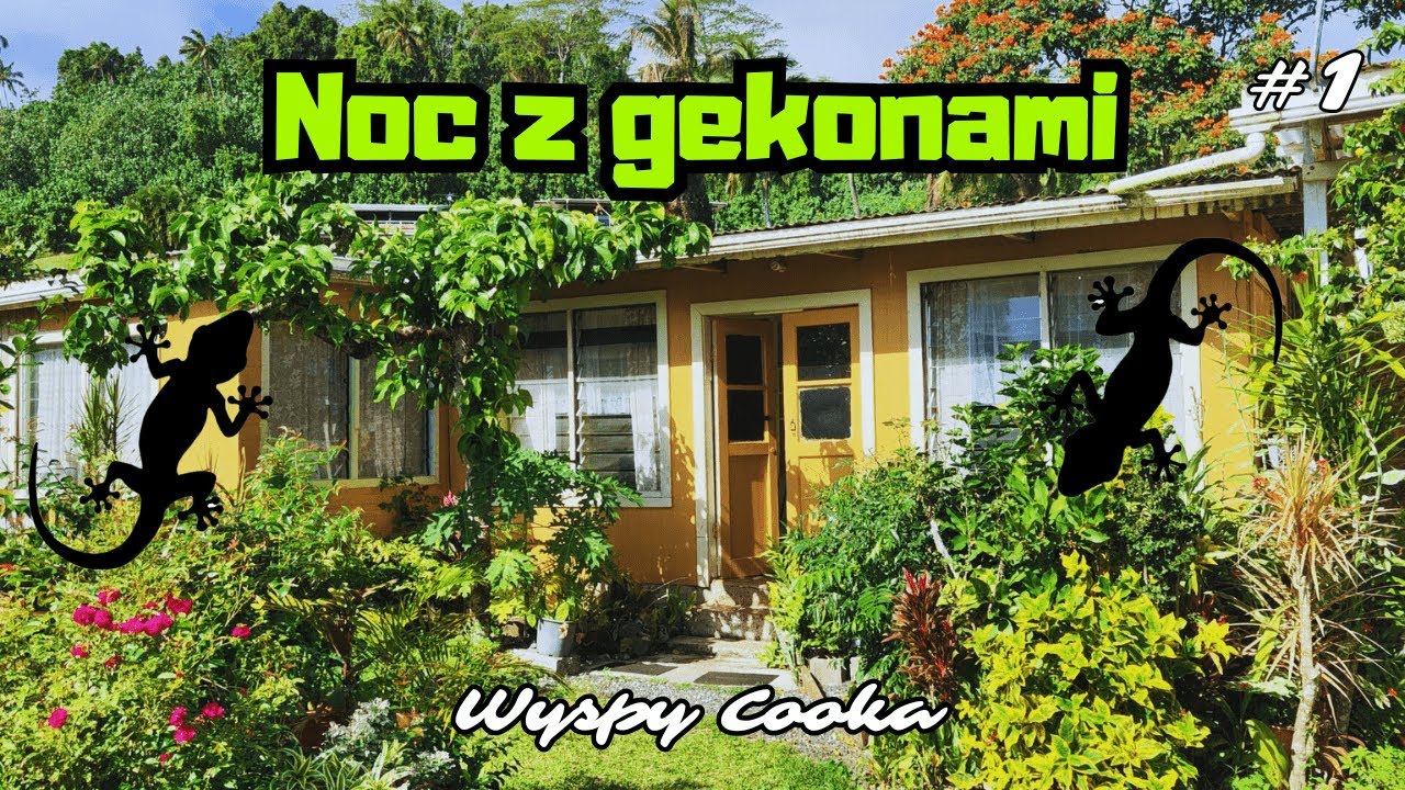 Wyspy Cooka #1 Ciepłe powitanie