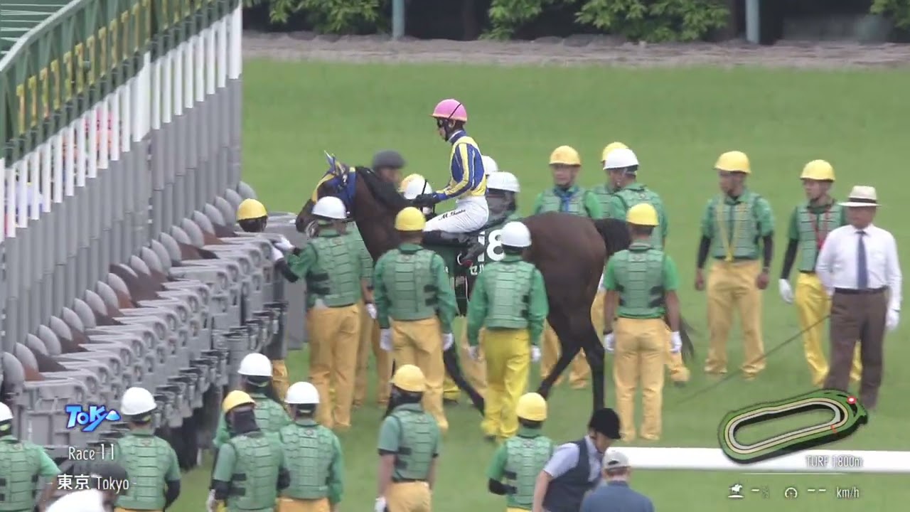 2024 06 09 東京11R エプソムカップ(G3) レーベンスティール(C.ルメール)