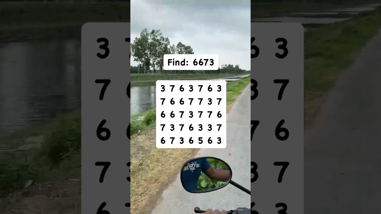 Find: 6673