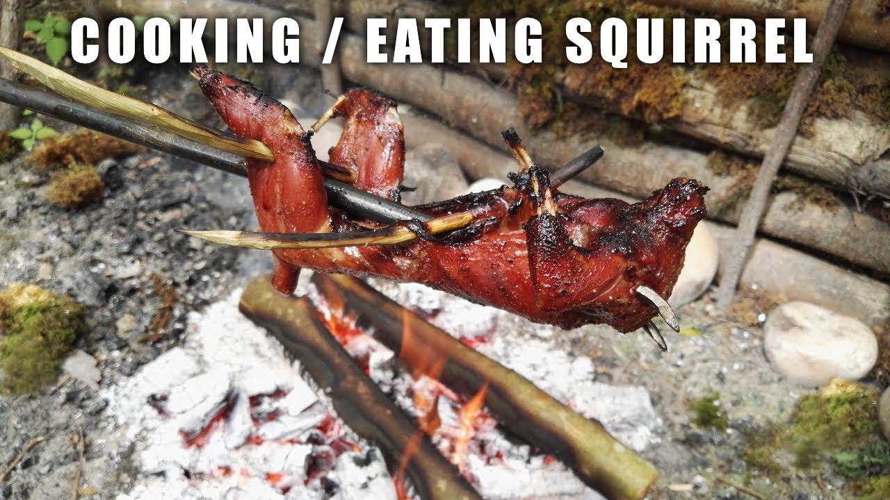 Squirrel Cooked on Camp Fire