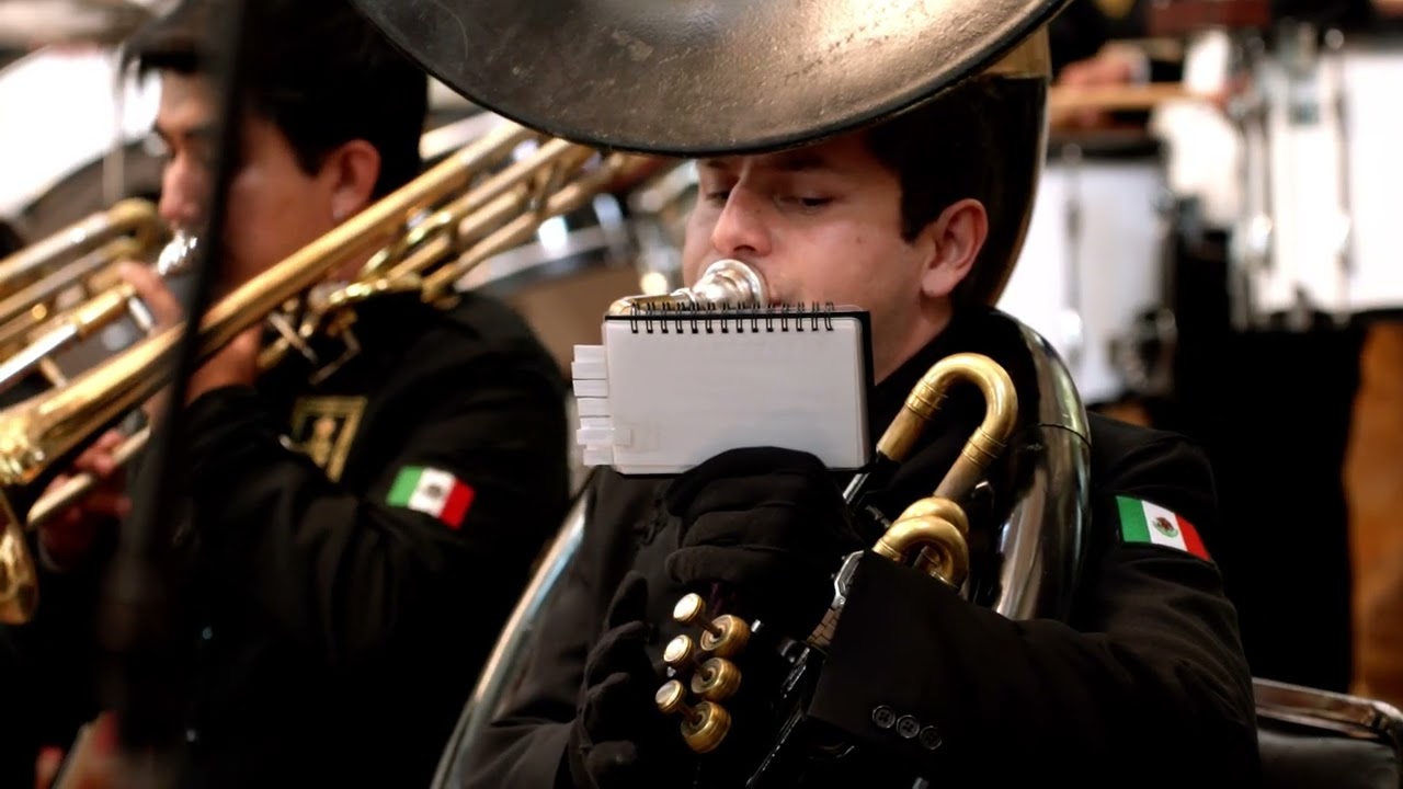 Cinco Llagas I Concierto Domingo de Ramos I Virgen de la Piedad