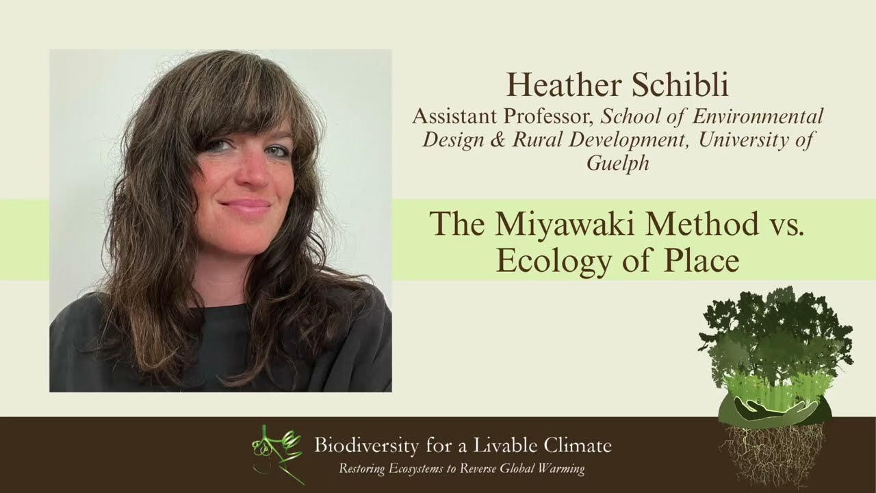 The Miyawaki Method vs. Ecology of Place: Experimentation & Curiosity in Canada’s Miniforest Network