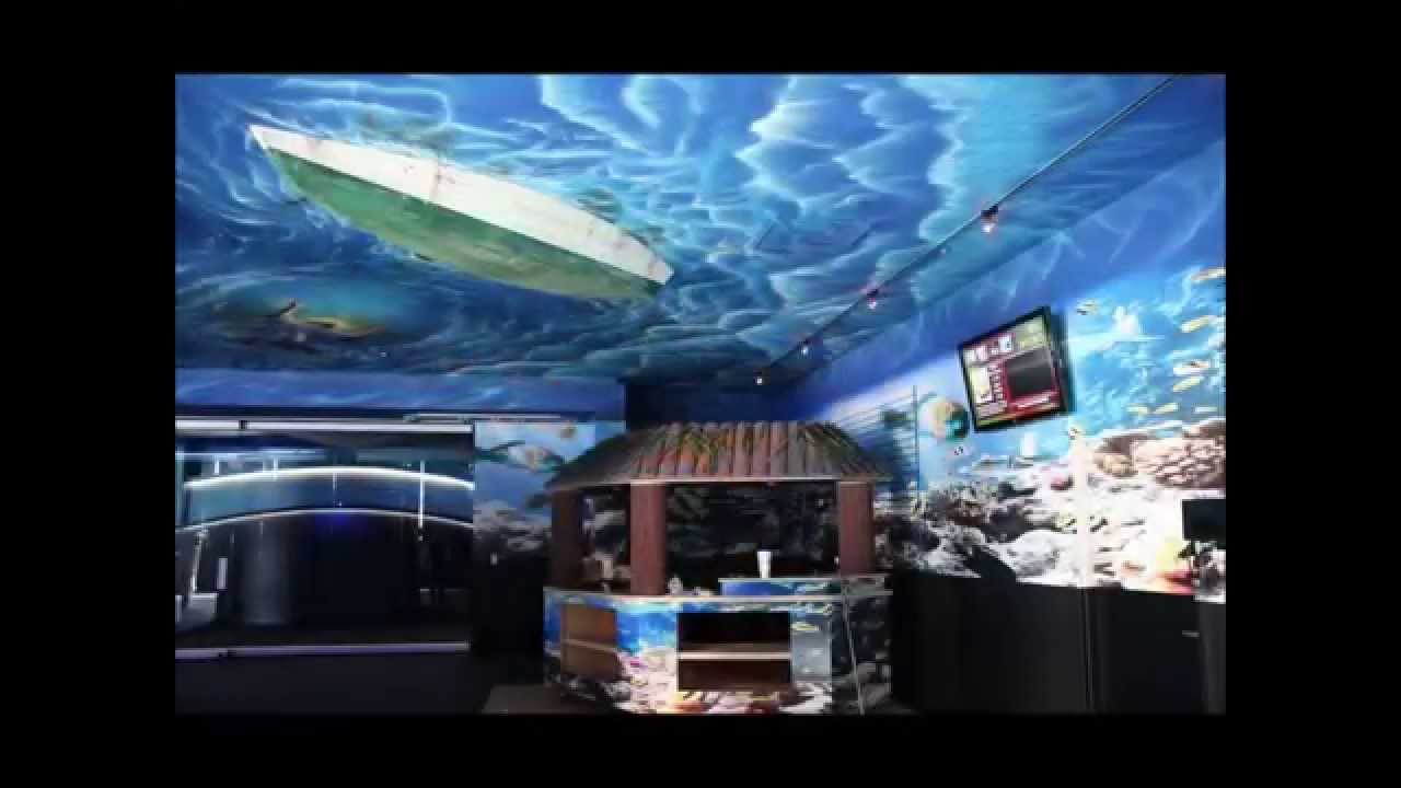 Underwater Themed Enviroment