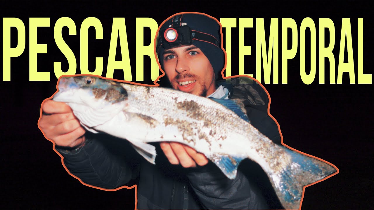 🎣 [LUBINAS Y BAILAS] - ASÍ PESCO YO los TEMPORALES - BIG FISH