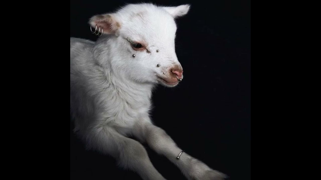 ASAP ROCKY X ASAP MOB TYPE BEAT - GOAT!