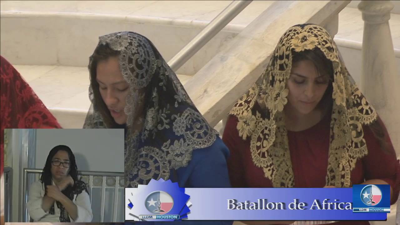 Llegó el primer “batallón” de africa