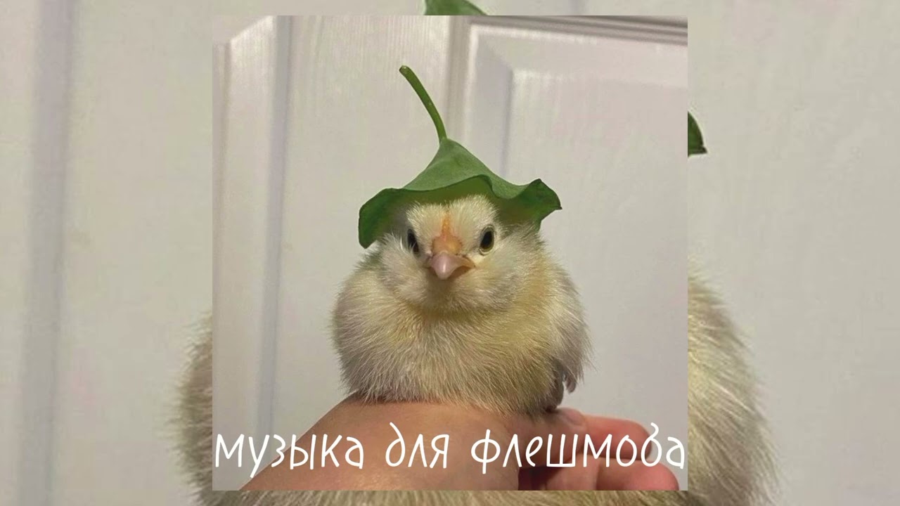 музыка для флешмоба 🙏